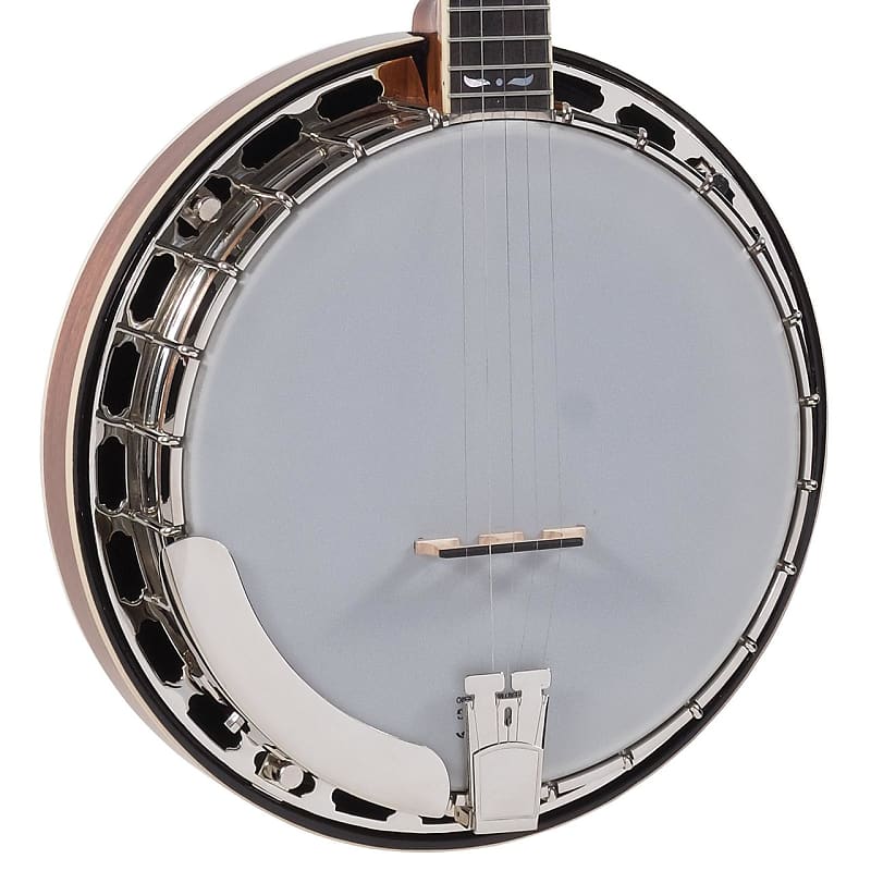 Recording King RK-R36 5 String Banjo