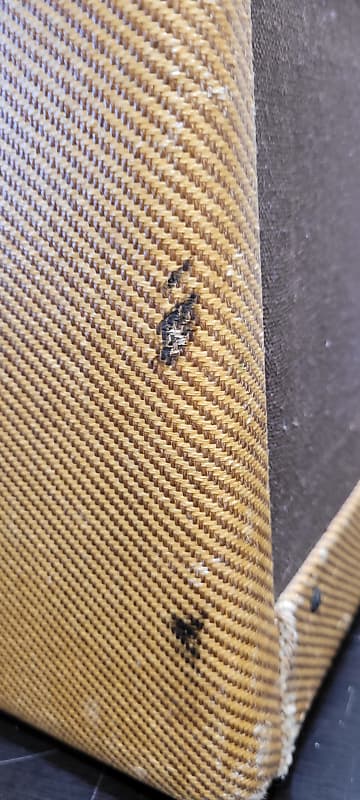 Fender Champ 5C1 '54