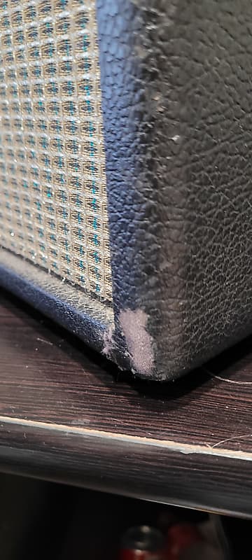 Fender Princeton '69 (2)