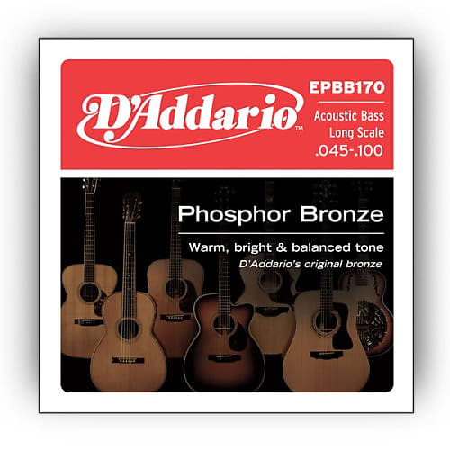 D'Addario EPBB170 Acoustic Bass LS Strings, .045 - .100