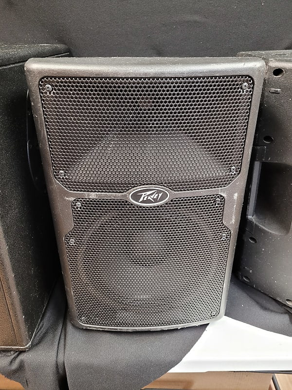 Peavey PVX p10  10inch speaker (1)