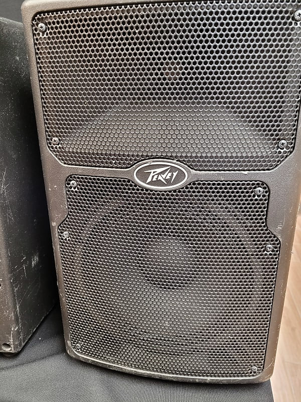 Peavey PVX p10  10inch speaker (1)