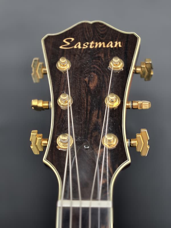 Eastman AR805CE 2006 with case